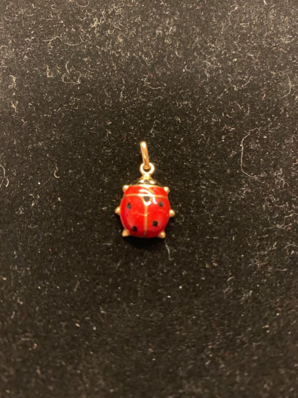 The Good Luck Golden Ladybug!